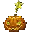 pumpkin-of-luck.gif